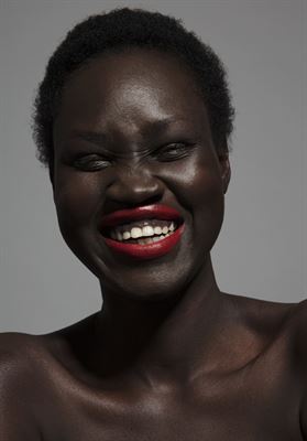 modelbook image no. 263519