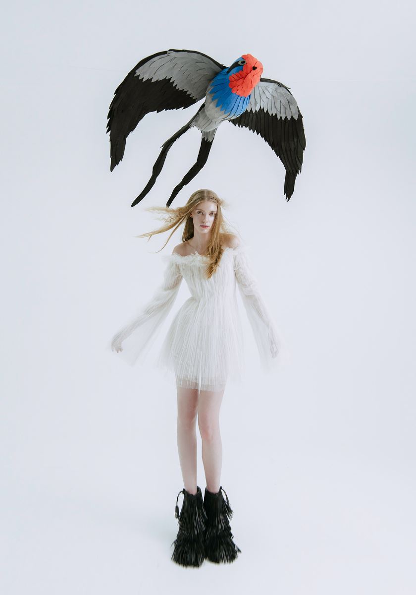 modelbook image no. 264494