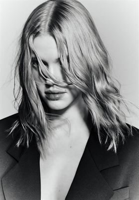 modelbook image no. 264486