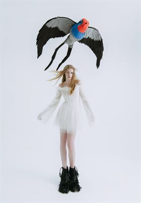 modelbook image no. 264494