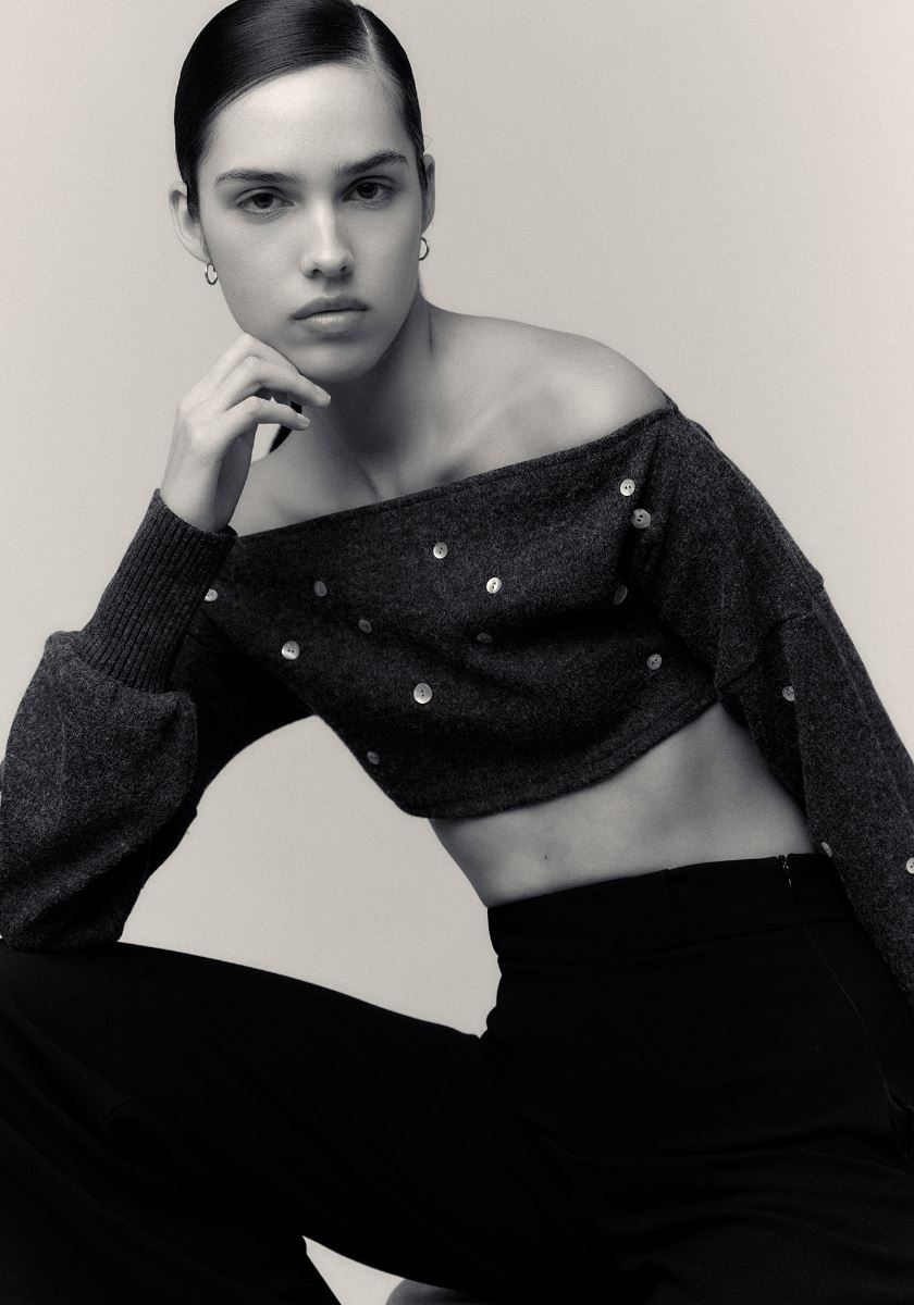 modelbook image no. 266132