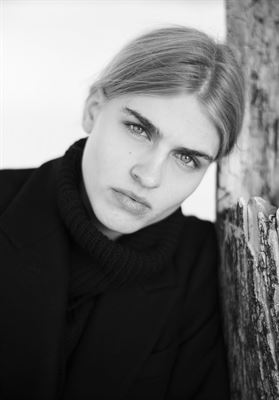 modelbook image no. 272000