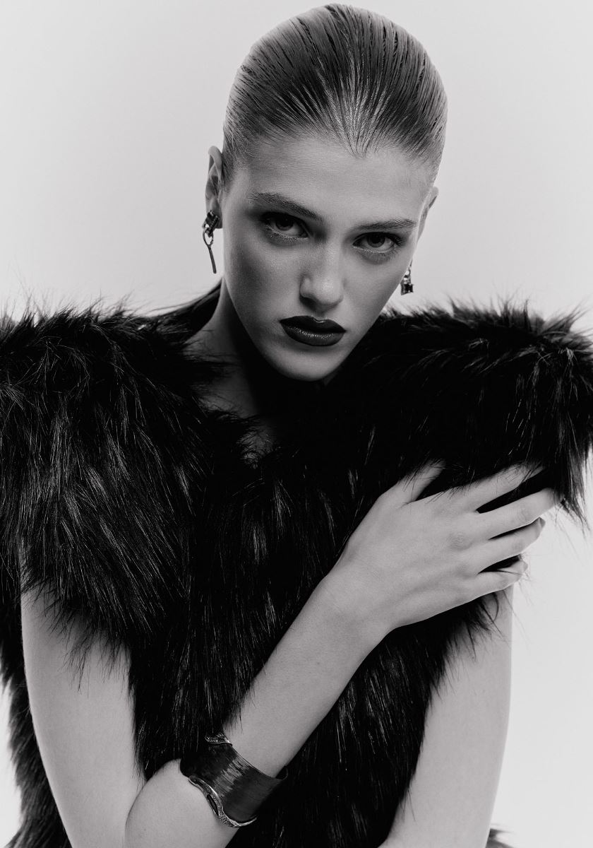 modelbook image no. 266955