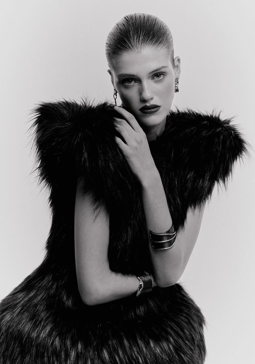 modelbook image no. 266954