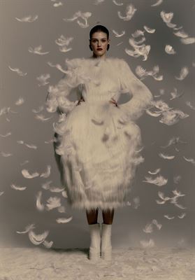 modelbook image no. 266957
