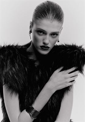 modelbook image no. 266955