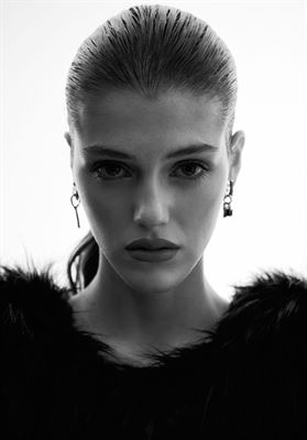 modelbook image no. 266956
