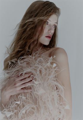 modelbook image no. 266959