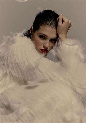 modelbook image no. 266958