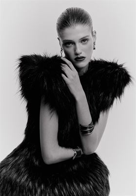 modelbook image no. 266954