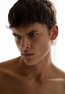 modelbook image no. 267075