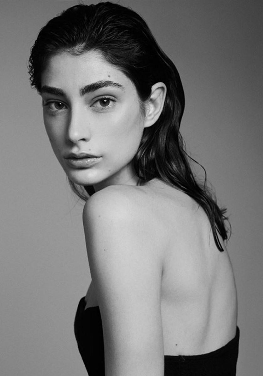 modelbook image no. 267435