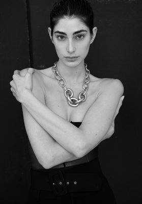 modelbook image no. 267395