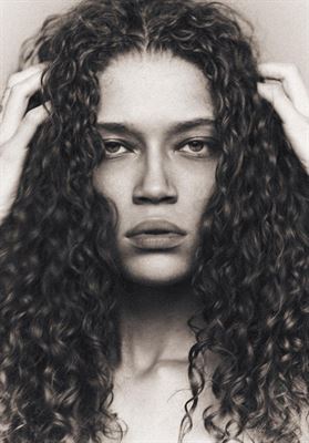 modelbook image no. 270166