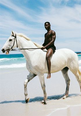 modelbook image no. 269548