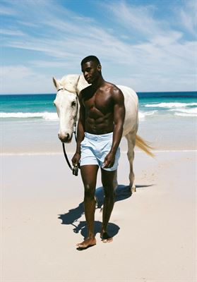 modelbook image no. 269549