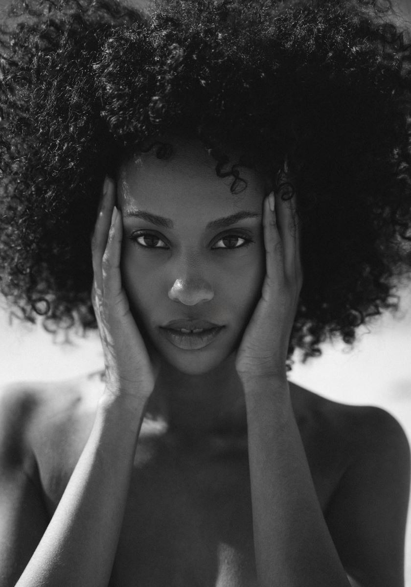 modelbook image no. 270690
