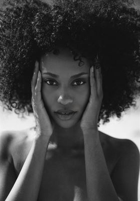 modelbook image no. 270690