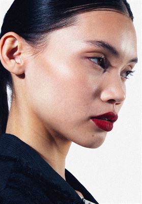 modelbook image no. 271181