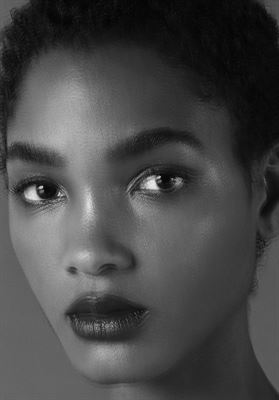 modelbook image no. 272808