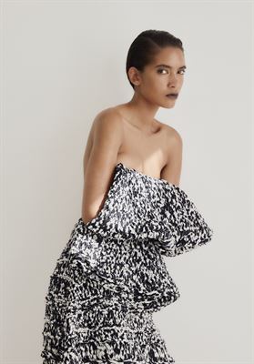 modelbook image no. 249202