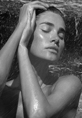 modelbook image no. 272457
