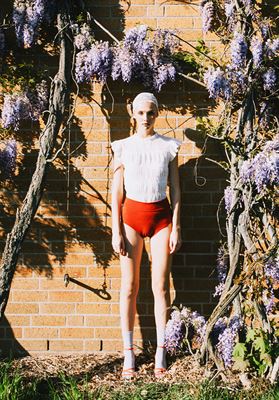 modelbook image no. 252942