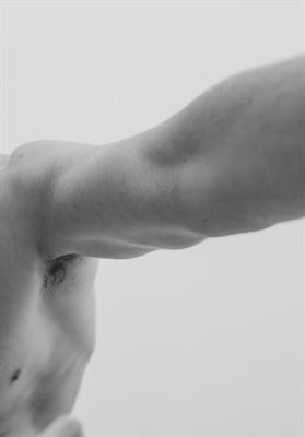 modelbook image no. 249066