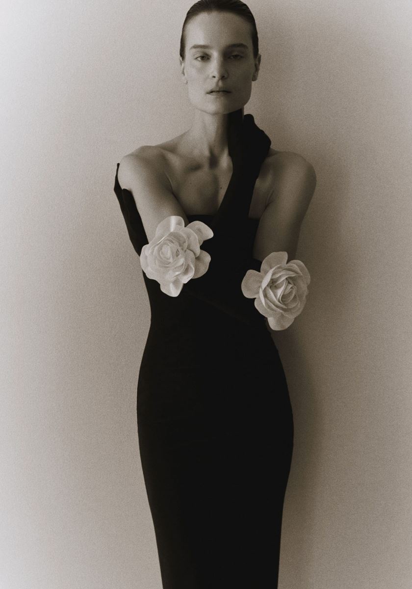 modelbook image no. 269394