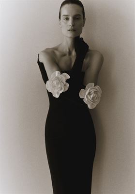 modelbook image no. 269394