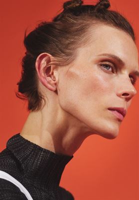 modelbook image no. 248682