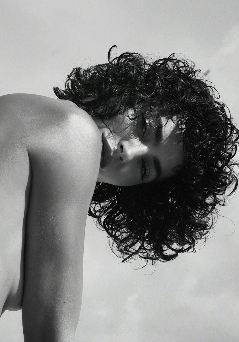 modelbook image no. 249103