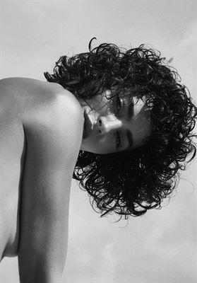 modelbook image no. 249103