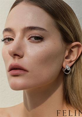 modelbook image no. 248481