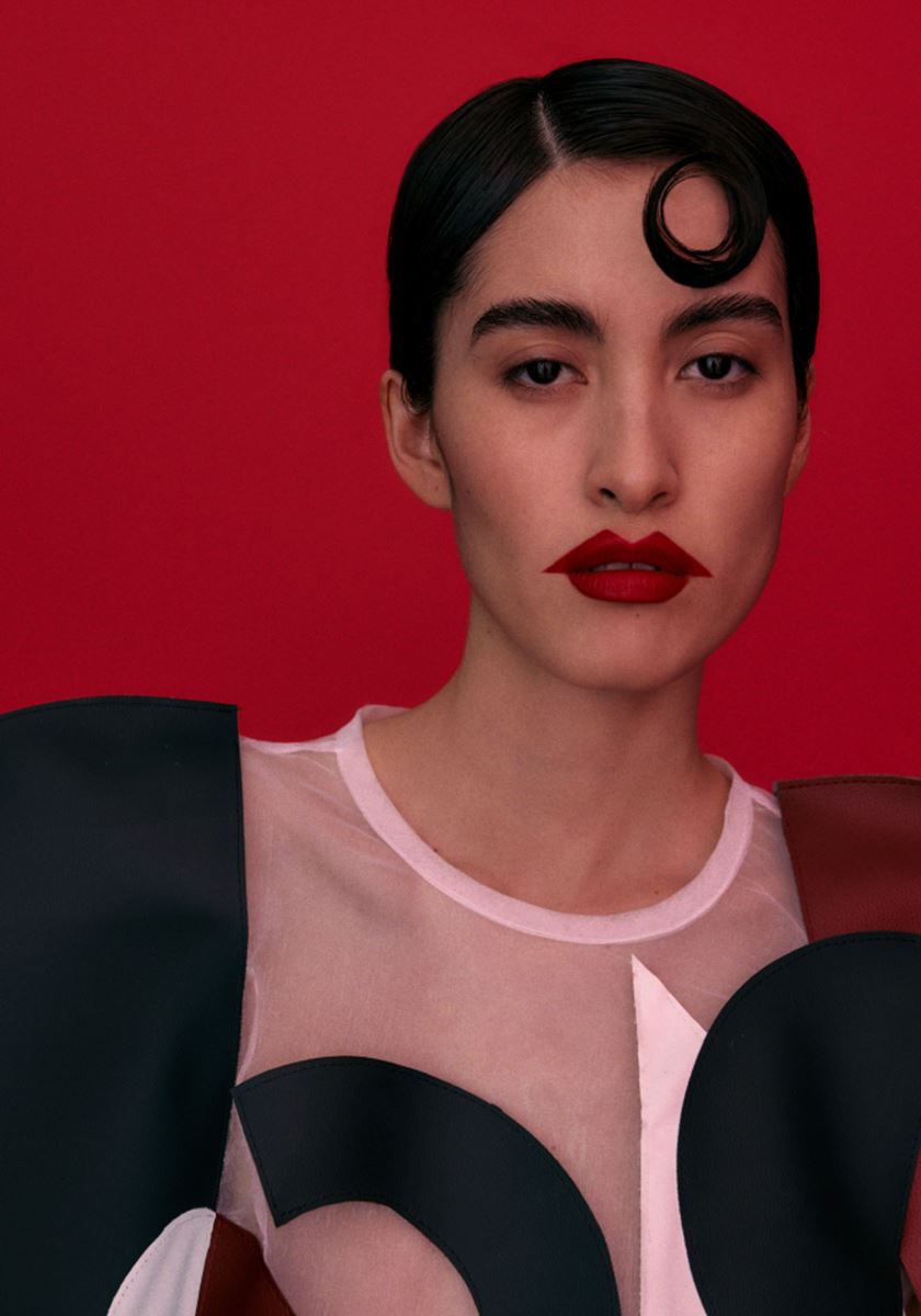modelbook image no. 268660