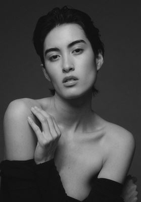 modelbook image no. 268661