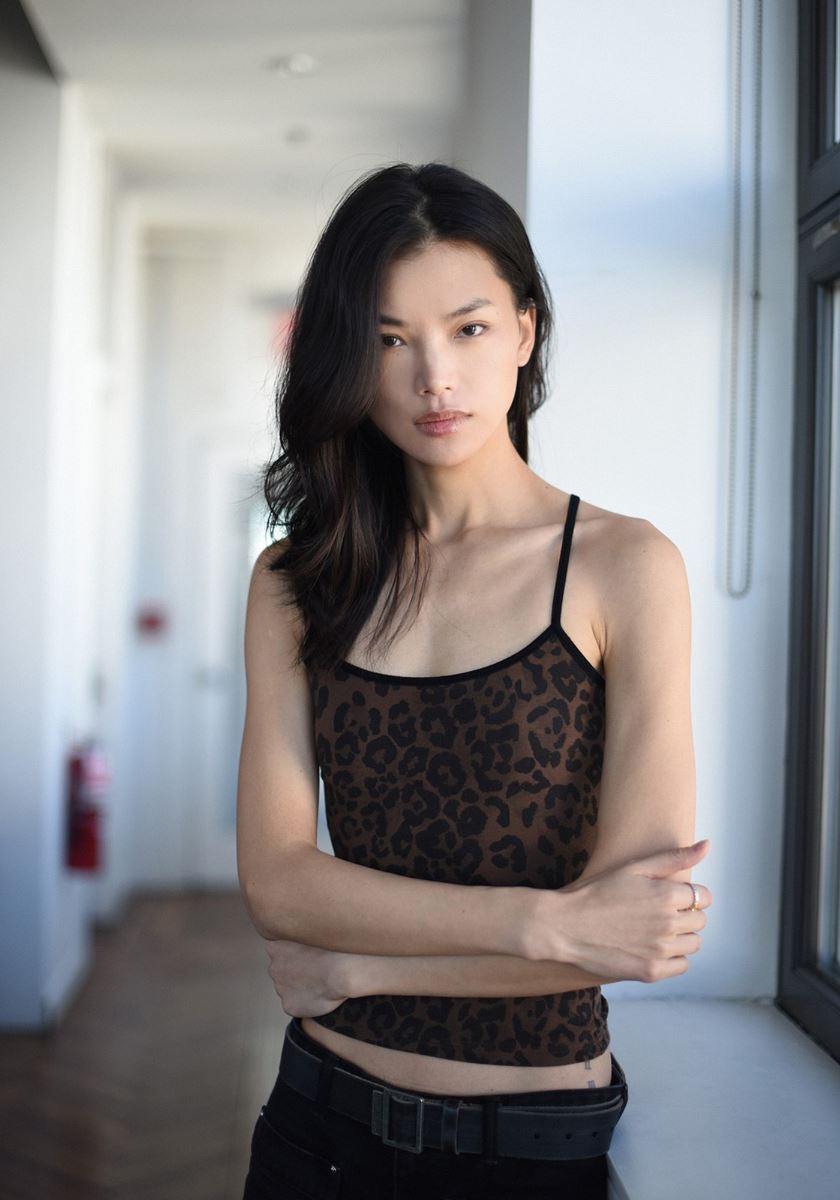 modelbook image no. 257737