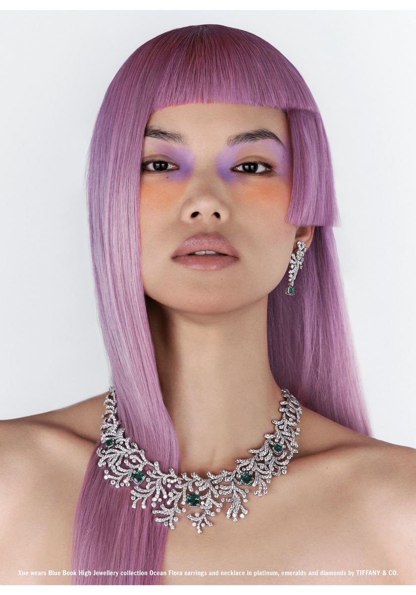 modelbook image no. 257700