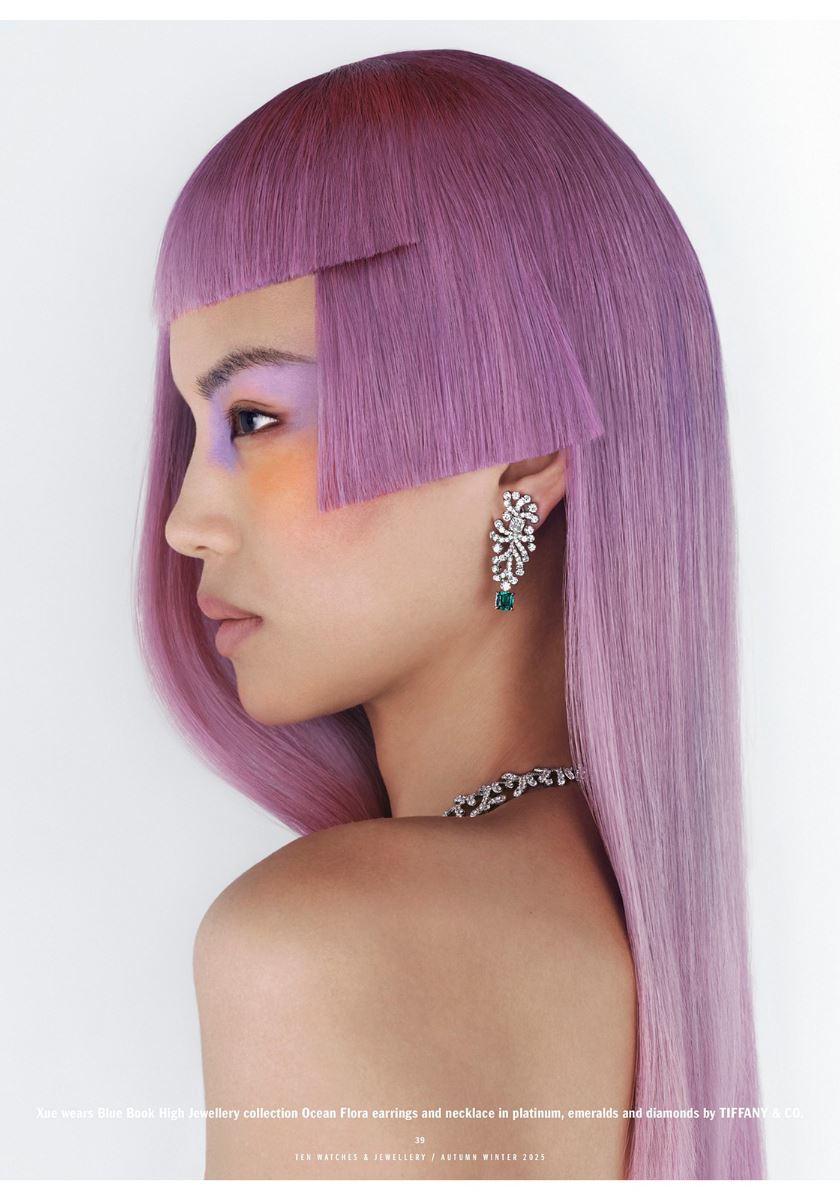 modelbook image no. 257701