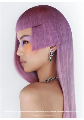 modelbook image no. 257701