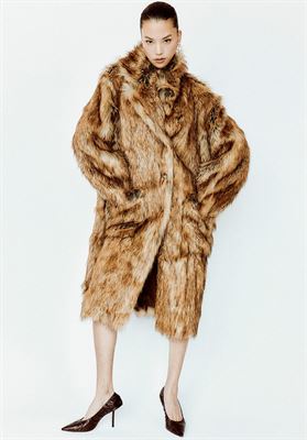 modelbook image no. 257703