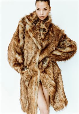 modelbook image no. 257708