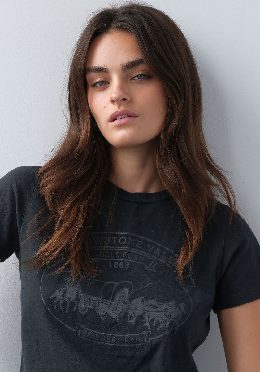 modelbook image no. 255487