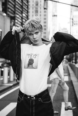 modelbook image no. 254848