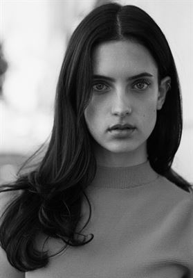 modelbook image no. 260946