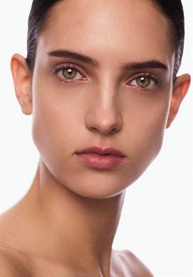 modelbook image no. 264747