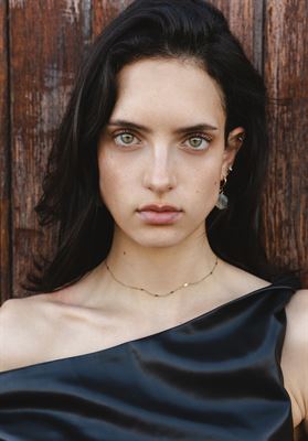 modelbook image no. 263742