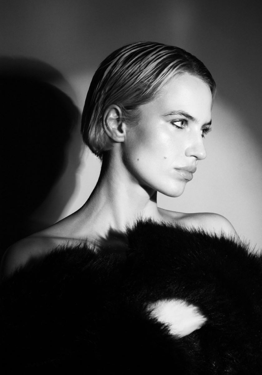 modelbook image no. 255378