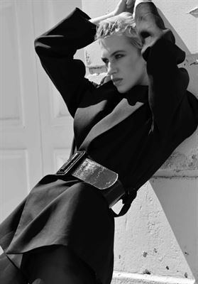 modelbook image no. 247329