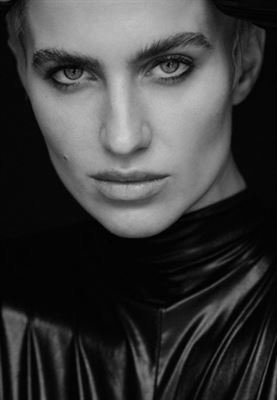 modelbook image no. 247335